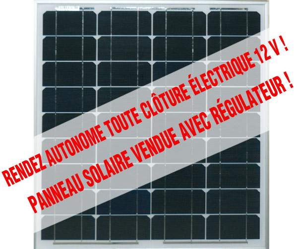 Panneau solaire 80 W avec régulateur